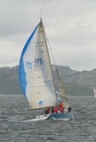 impetuous gbr7737 gbr7737 ss09 sun rmc 9037